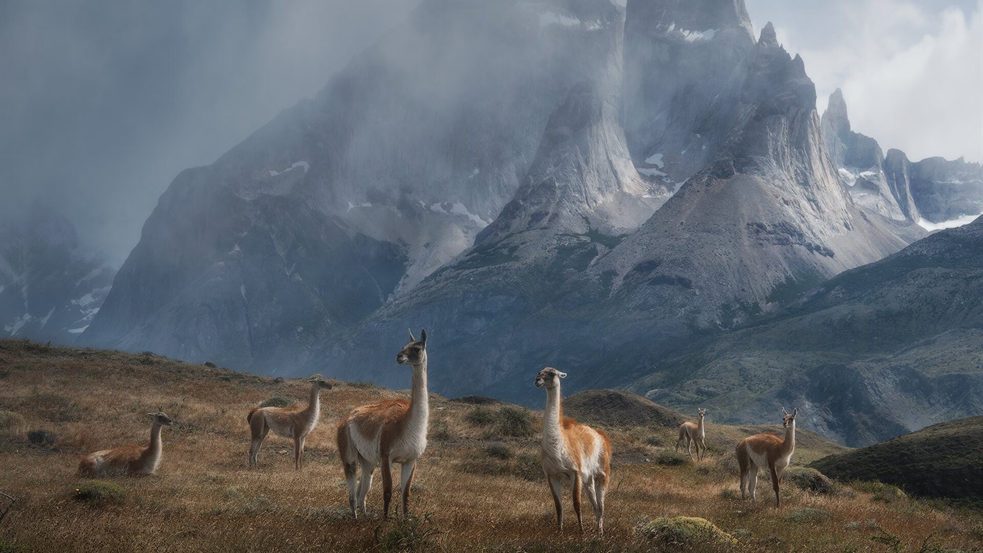 爱游戏娱乐-我来帮你构思一篇具有唯一性的体育评论文章