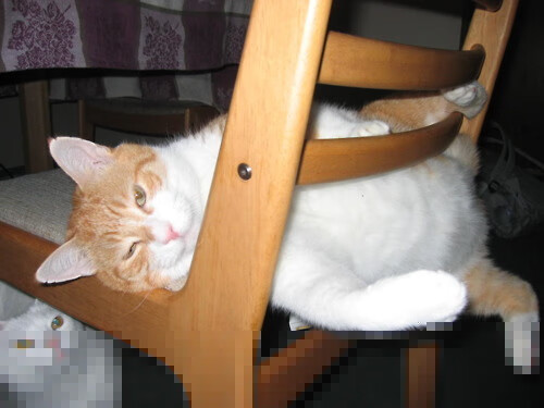 羽翼之下，汉密尔顿扛起的，不止是一部绝杀的阿斯顿马丁