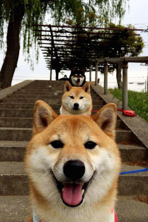 爱游戏在线-迪马利亚闪电破阵，委内瑞拉铁血攻坚，足球世界的两极艺术