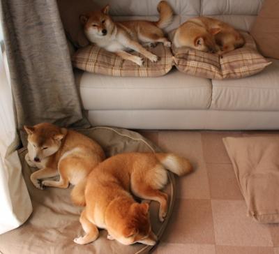 年度焦点之战，亚特兰大3-0完胜厄瓜多尔，战术碾压铸就经典胜利