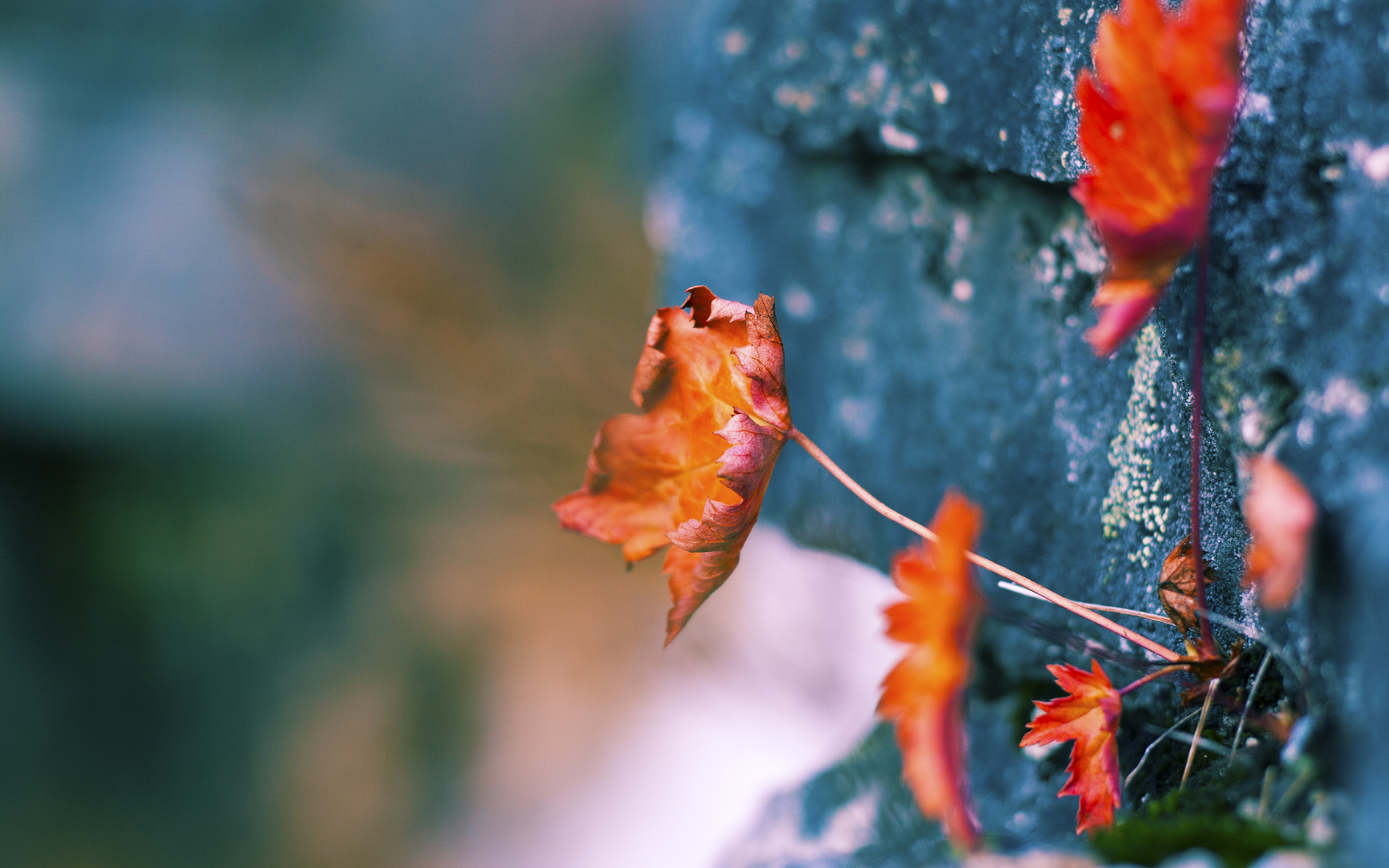 爱游戏-奥亚尔萨瓦尔爆发，牙买加鏖战拜仁，一场跨洲友谊赛的激情对决