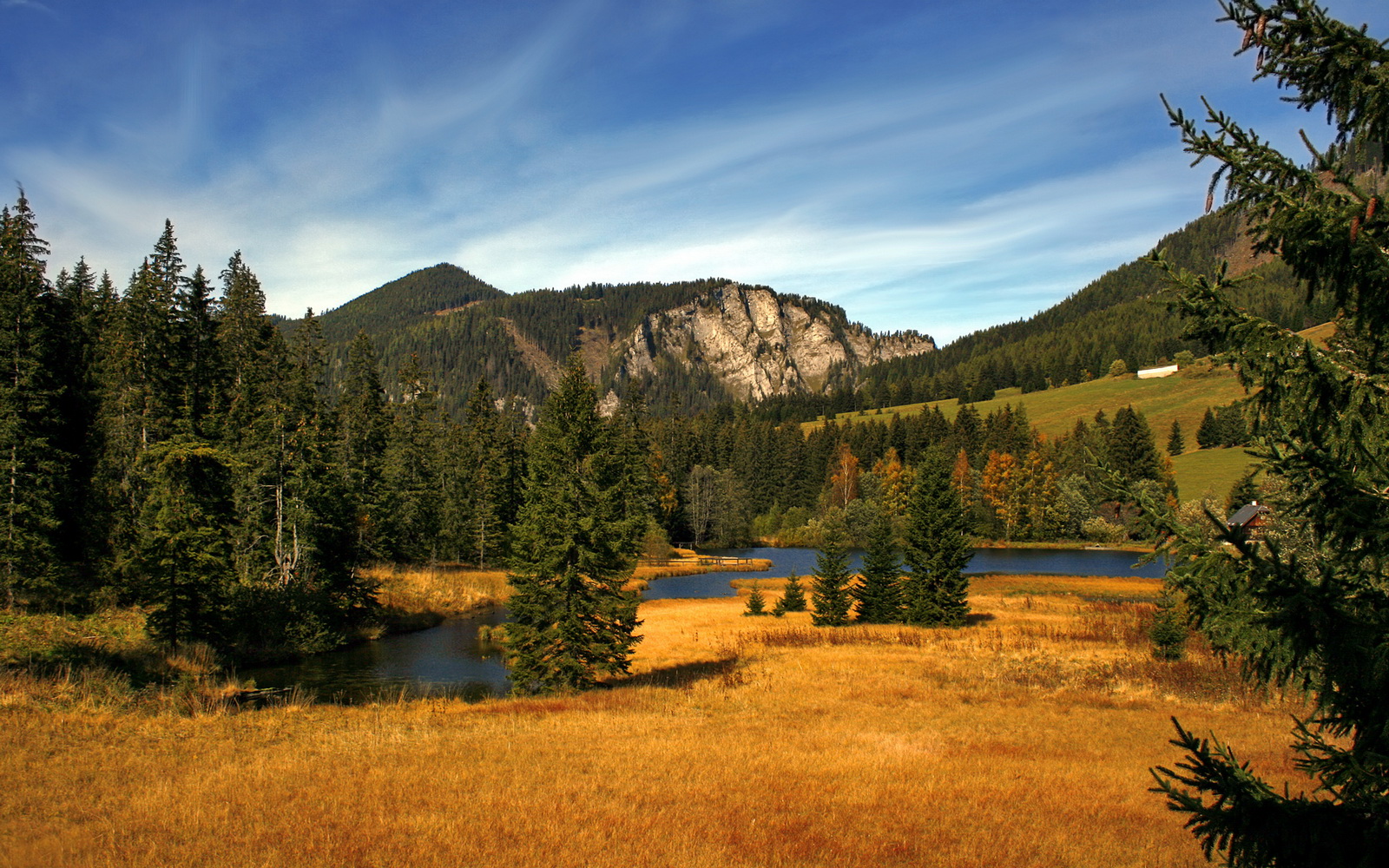 克莱·汤普森涅槃重生！末节圣光降临，火箭窒息时刻逆转骑士