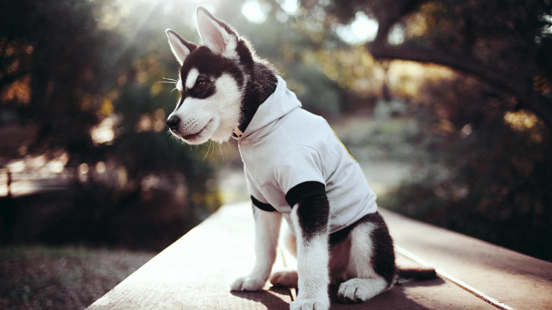 爱游戏娱乐-世纪唯一，贝蒂斯巅峰之战力克切尔西，梅西一锤定音改写历史