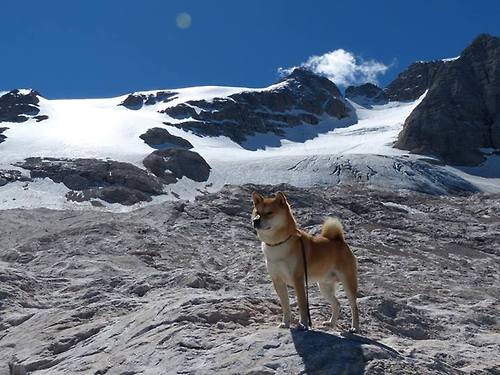 选项（供参考）