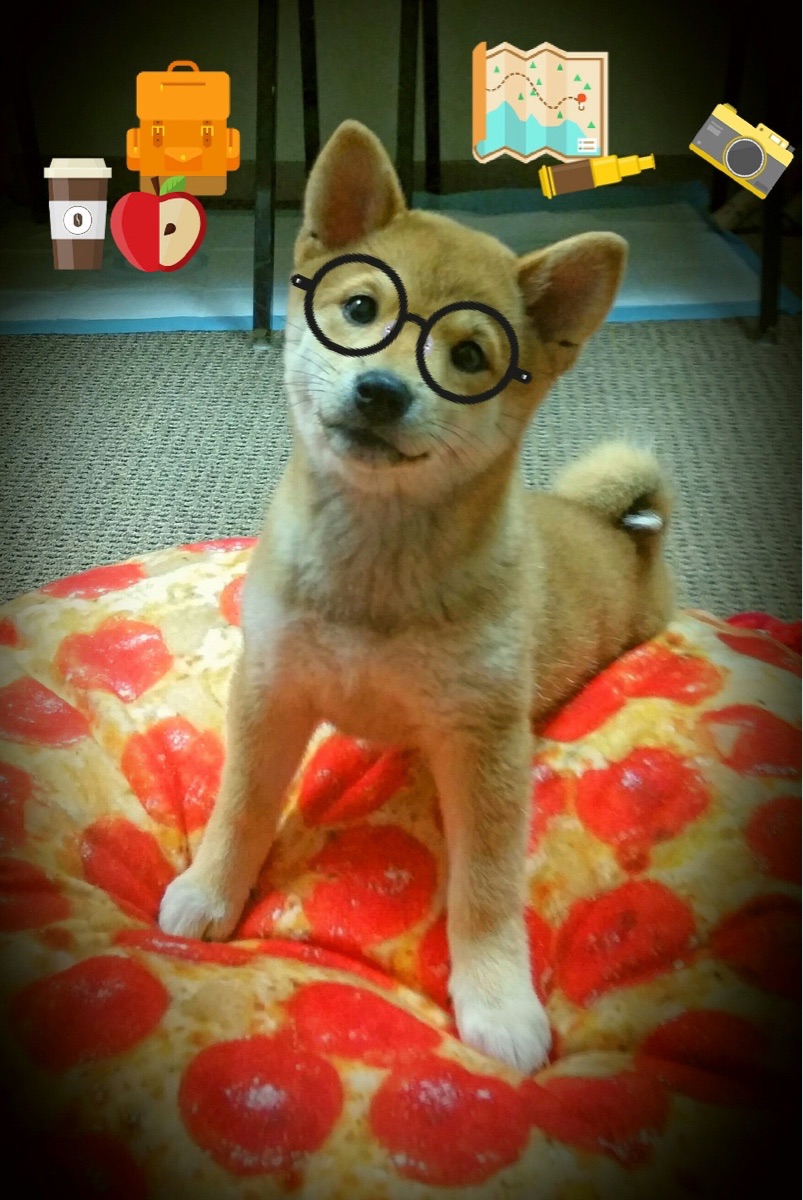 格列兹曼关键战再证大心脏，巴拉圭客场收割罗马尼亚