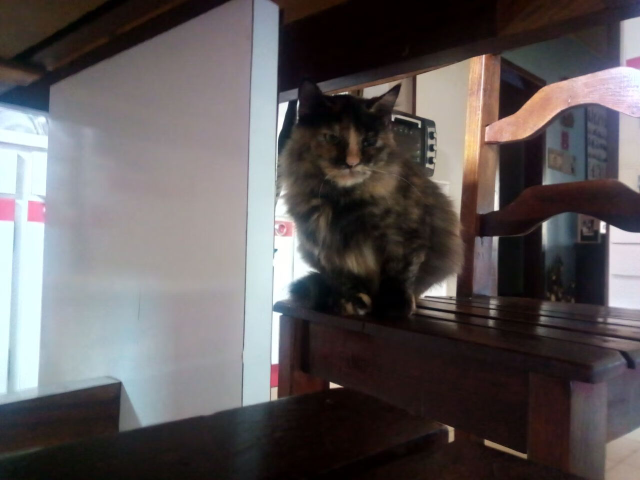 尼克斯绝杀深圳队，年度焦点之战的终极瞬间