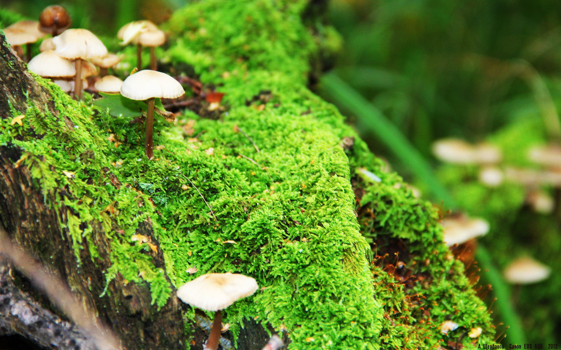 爱游戏官方入口-舞台的尺度，奥纳纳的闪耀与黄潜机器对乌克兰的冰冷碾压