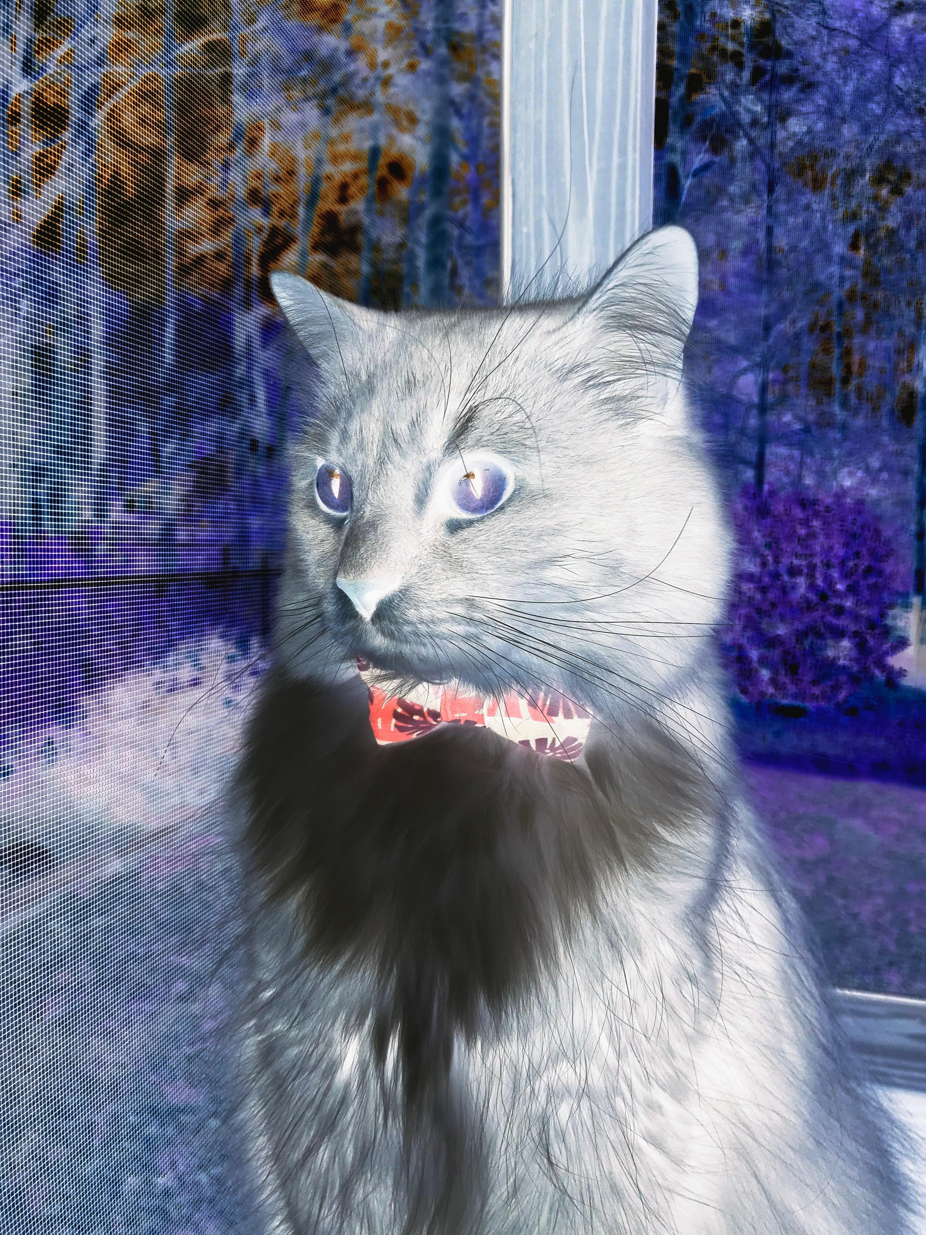 爱游戏体育-终极剧本，年度焦点之战之夜，京多安如何成为奇迹的执笔人