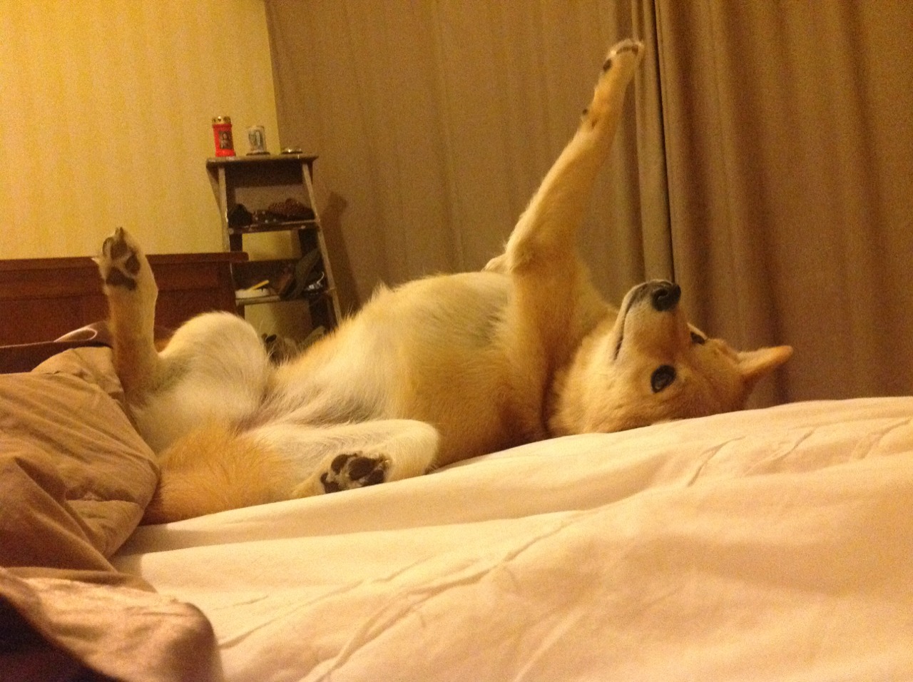 欧冠淘汰赛焦点战的篮球镜像，掘金如何粉碎奇才