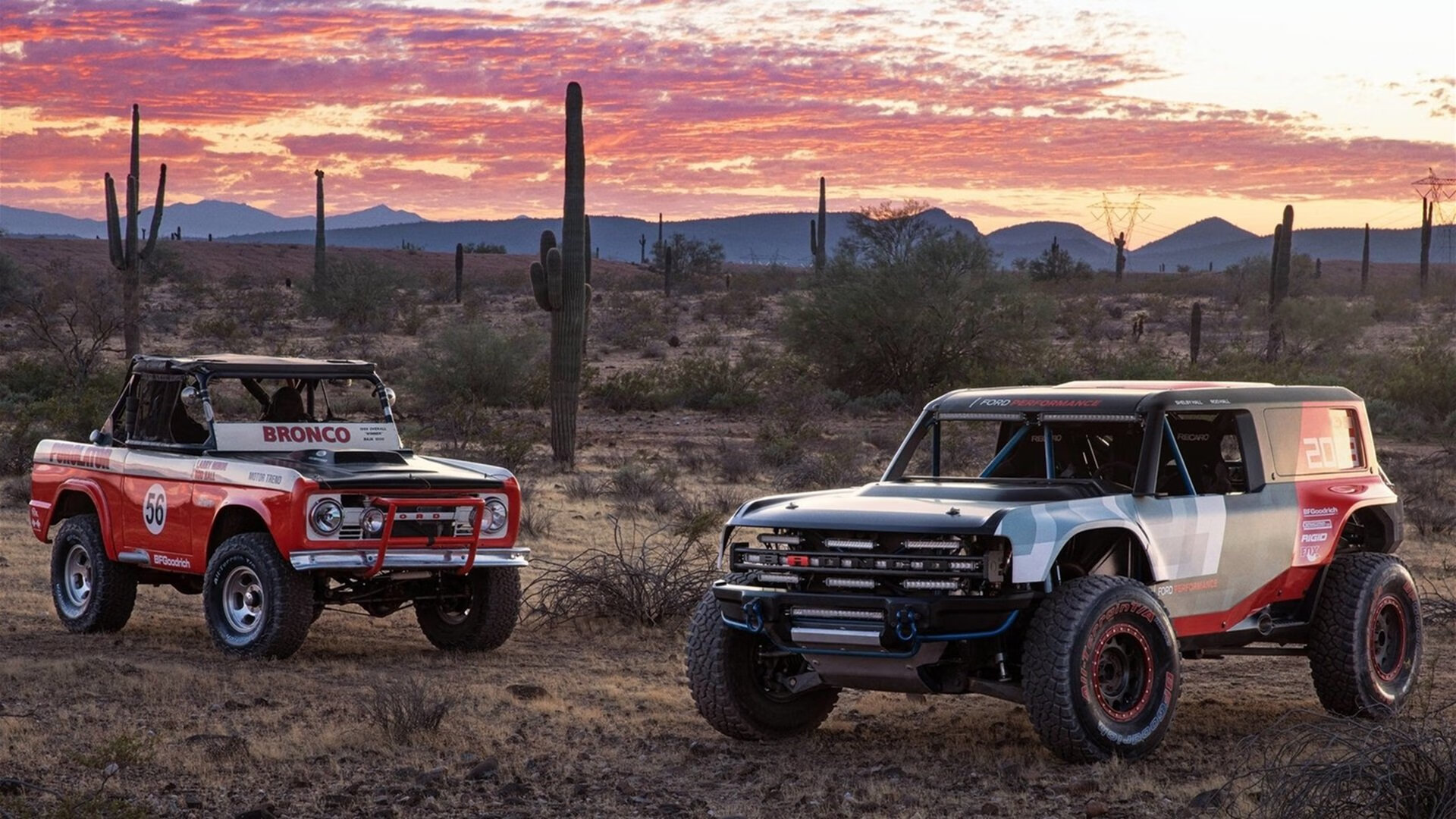 云霄之上的最后利爪，当亚特兰大老鹰在抢七战撕裂丹佛掘金的黑色矿脉