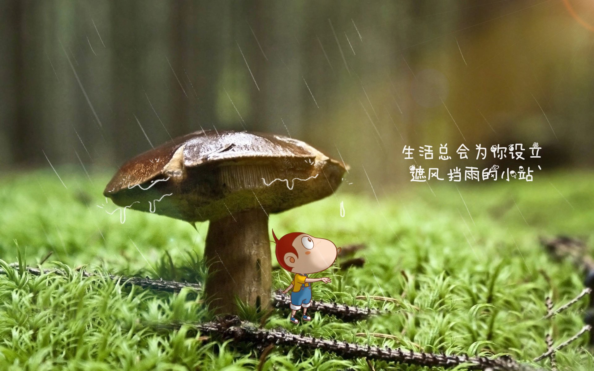 2026世界杯A组,罗马尼亚铁骑踏破神话,穆西亚拉一人击溃印度防线