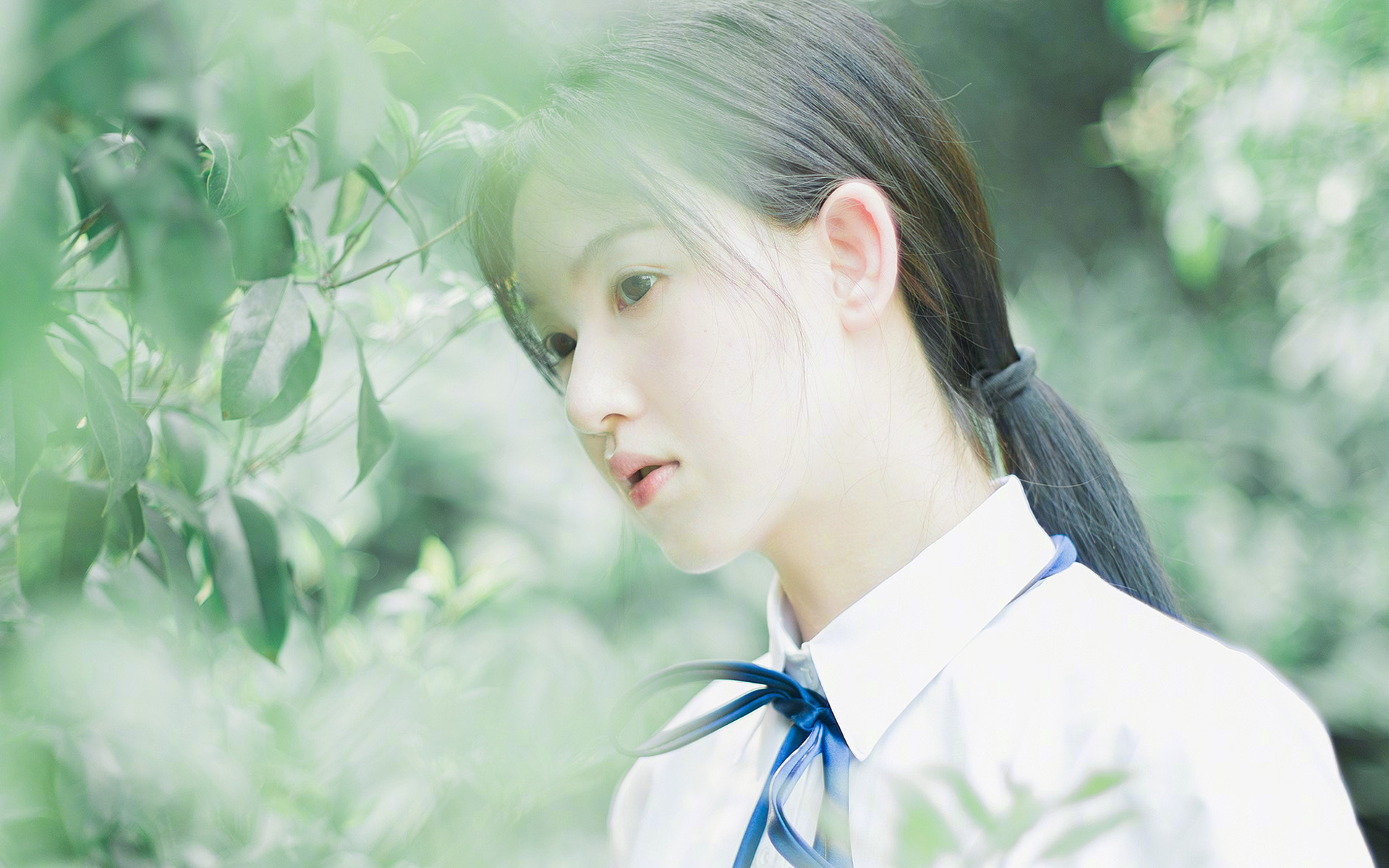 命运的回响,2026,当北欧神话在美洲大地上重演